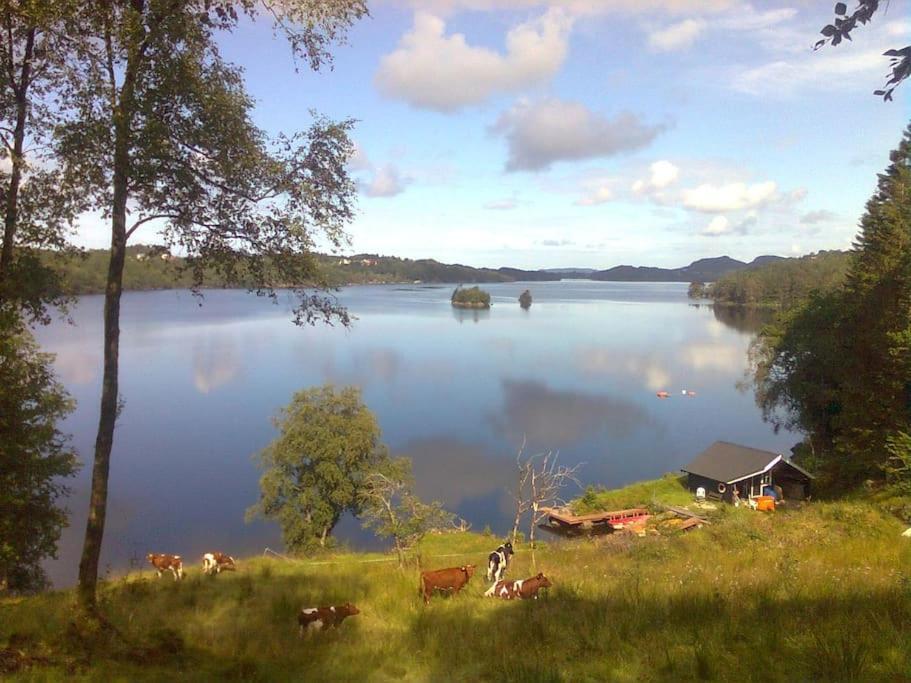 Topfloor Apartment Separate Entranc Nice View Stord 菲恰尔 外观 照片